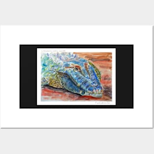 Chinaman Creek Crocodile - Watercolour - Postcard Posters and Art